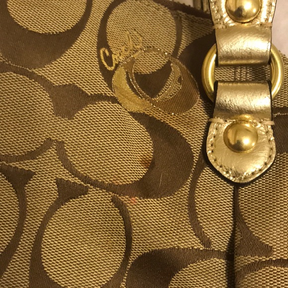 Authentic Coach - Picture 4 of 8